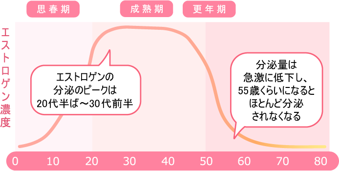 女性のライフステージとエストロゲンの分泌量